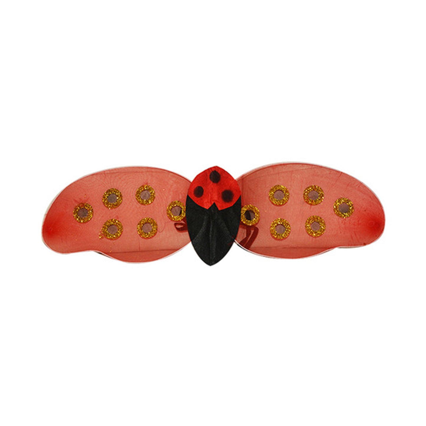 Ladybug Accessory Set